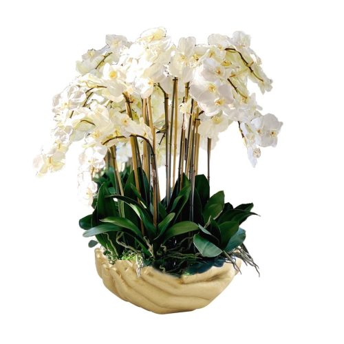 White Phalaenopsis  Orchids in  Gold Open Hands Sculpture Vase