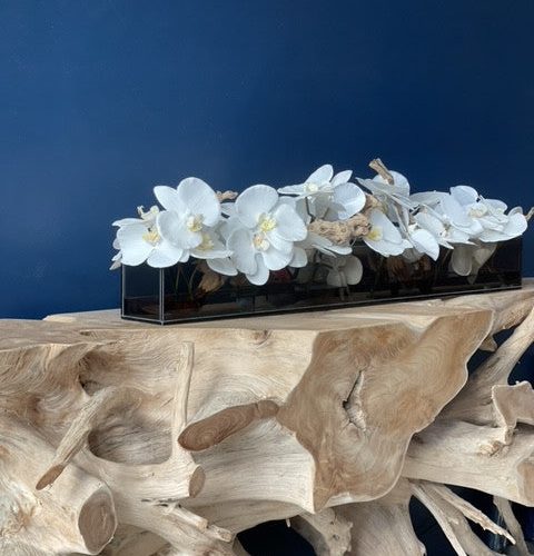 36″ Casa Moderna Black Tinted Glass Plate Planter with white Phalaenopsis orchids