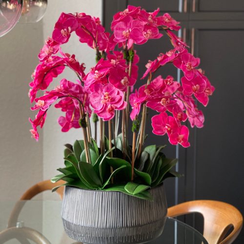 Java Bowl with Pink Phalaenopsis Orchids(Out of Stock)