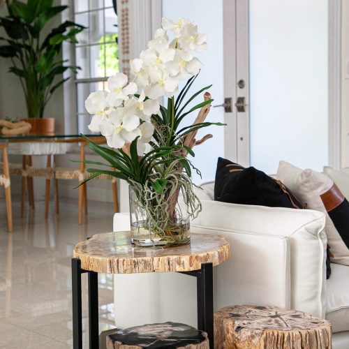 Vanda Orchids And Driftwood Inside Glass Cylinder