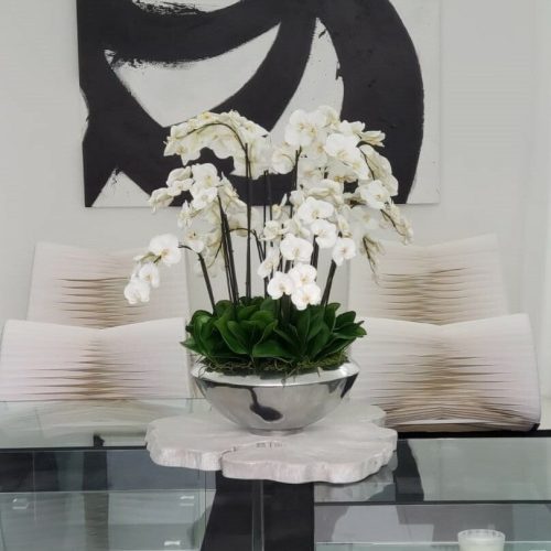 Avenue Bowl with White Phalaenopsis Orchids