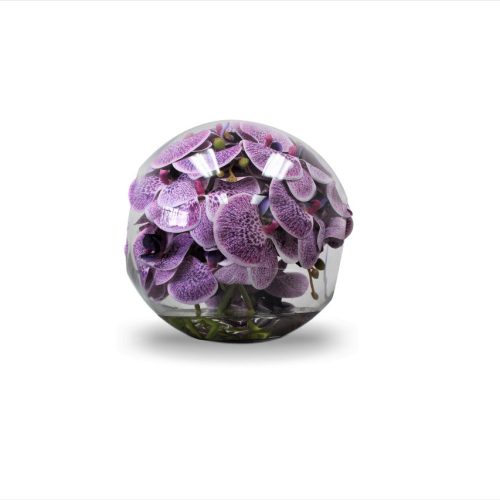 10″ Crosswinds vase with purple orchids