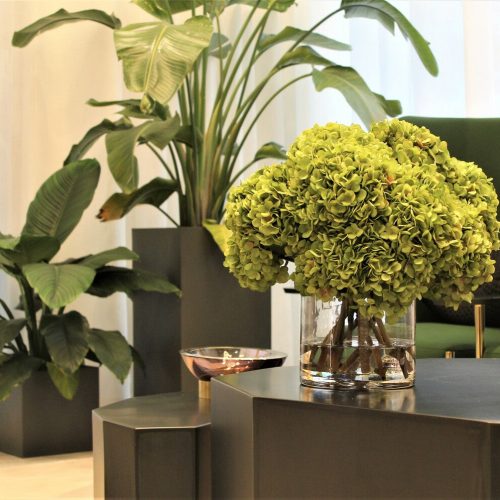 Green Hydrangea Bouquet in clear glass cylinder vase
